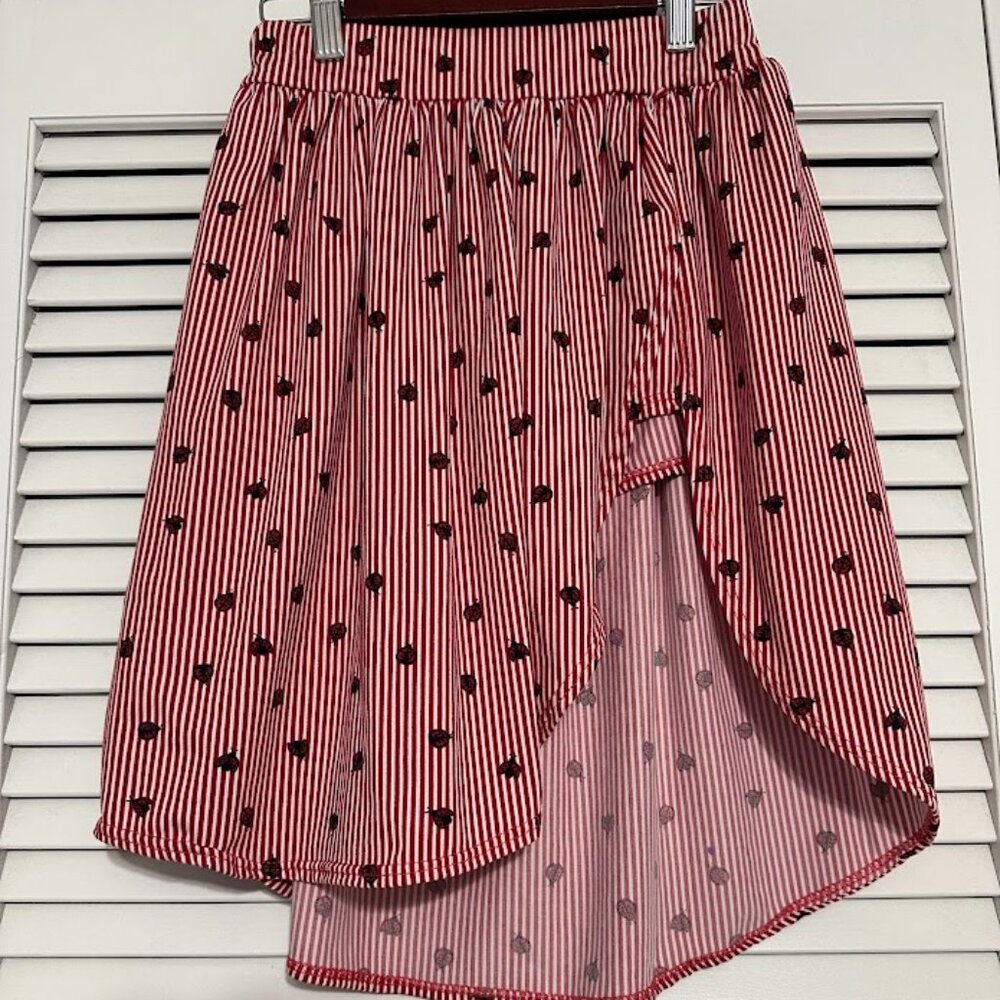Skirt With Shorts Made of Knitted Fabric With a Red Stripe and a Print Ladybug